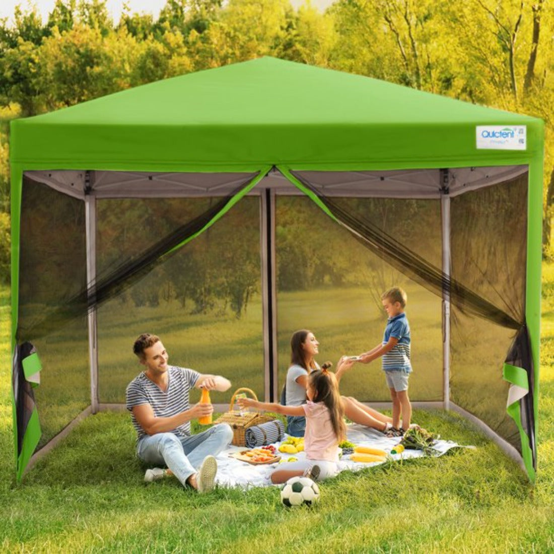 green 10x10 canopy with screen#color_green