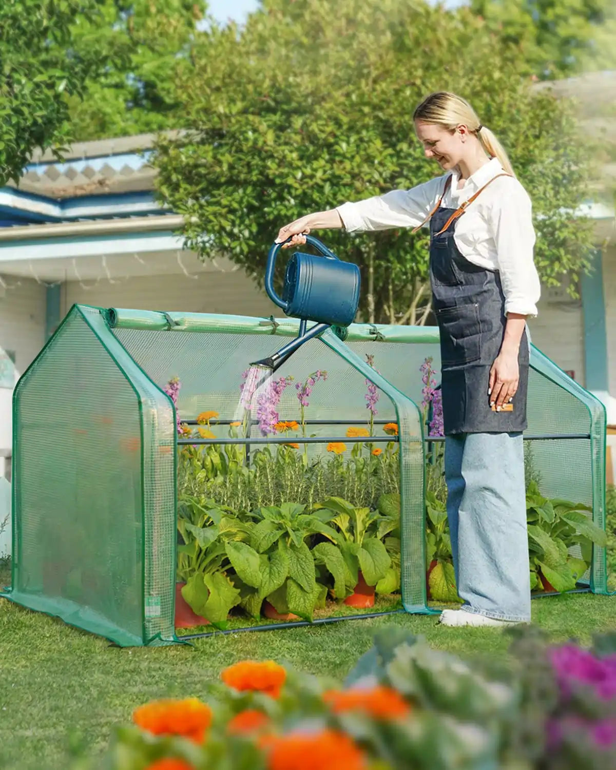 mini greenhouse in backyard#color_green
