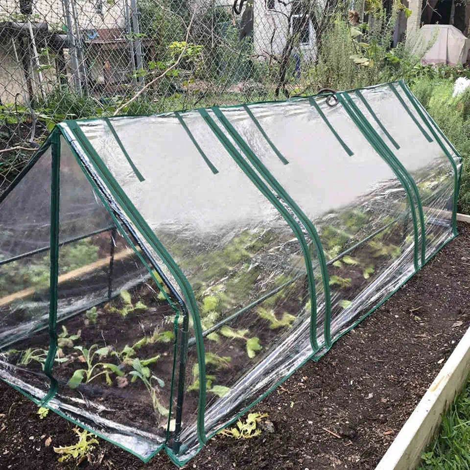 small greenhouse on raised bed#color_clear